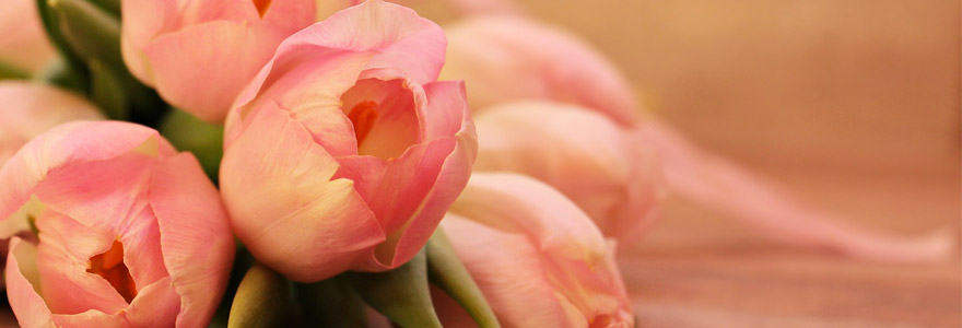 livraison de fleurs pour la Saint-Valentin